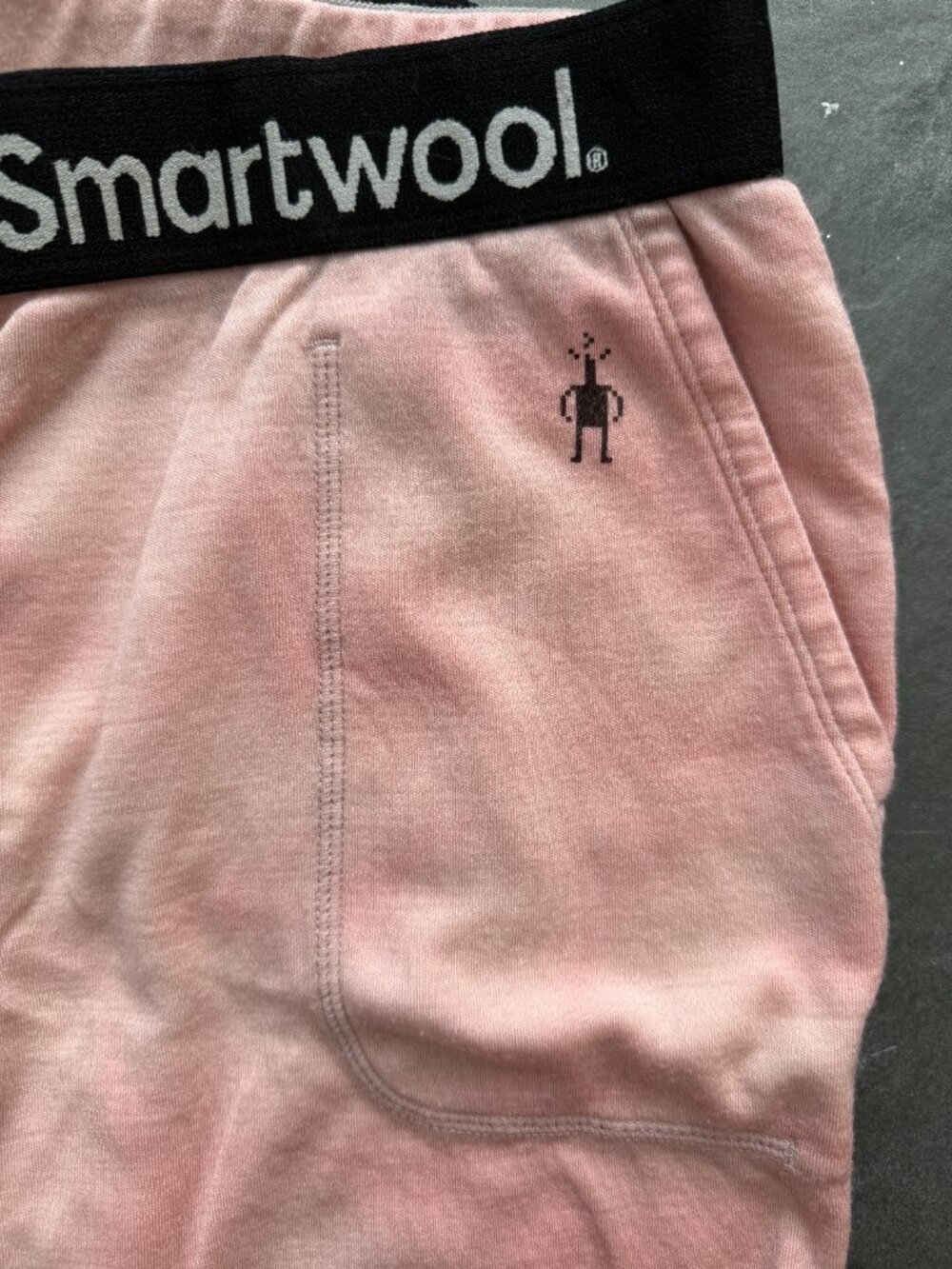 Smartwool Merino 250 Natural Dye Joggers - Picture 2 of 3